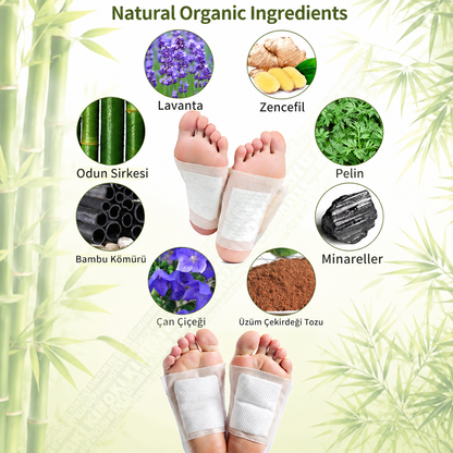 Zenovitatr ™ Detoks Ayak Bandı (10 Adet)